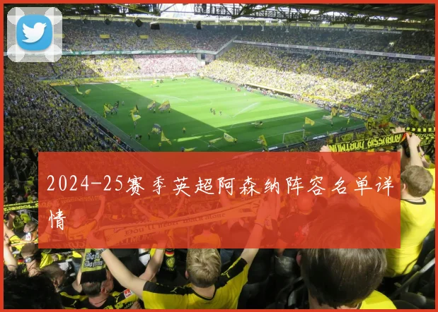 2024-25赛季英超阿森纳阵容名单详情