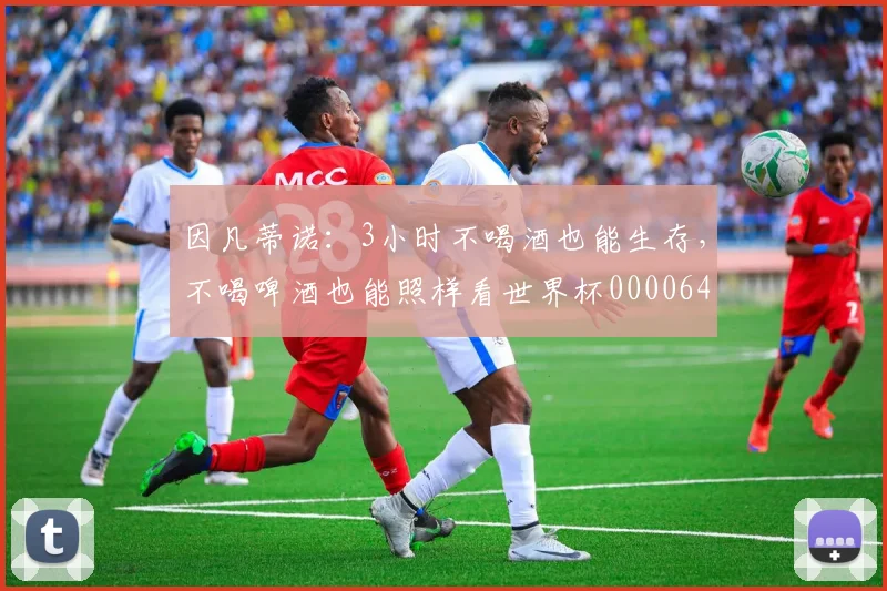 因凡蒂诺：3小时不喝酒也能生存，不喝啤酒也能照样看世界杯0000644